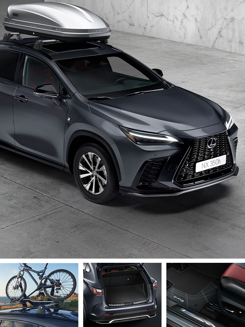 NX350h-accessoires